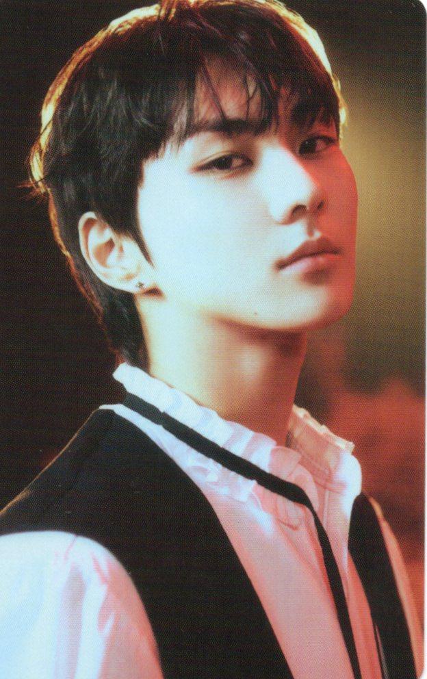 [ジョンウォン] ENHYPEN DARK BLOOD コンセプトフォト フォトカード ポカ