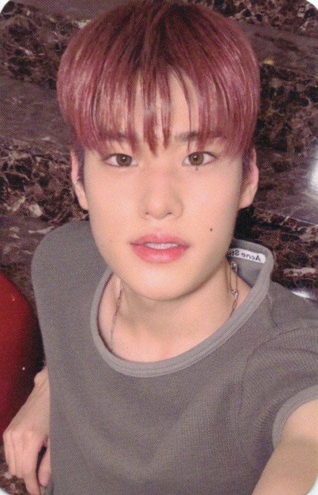 [ソヒ/Applemusic] RIIZE RIIZING アップルミュージック予約販売 特典 フォトカード ポカ