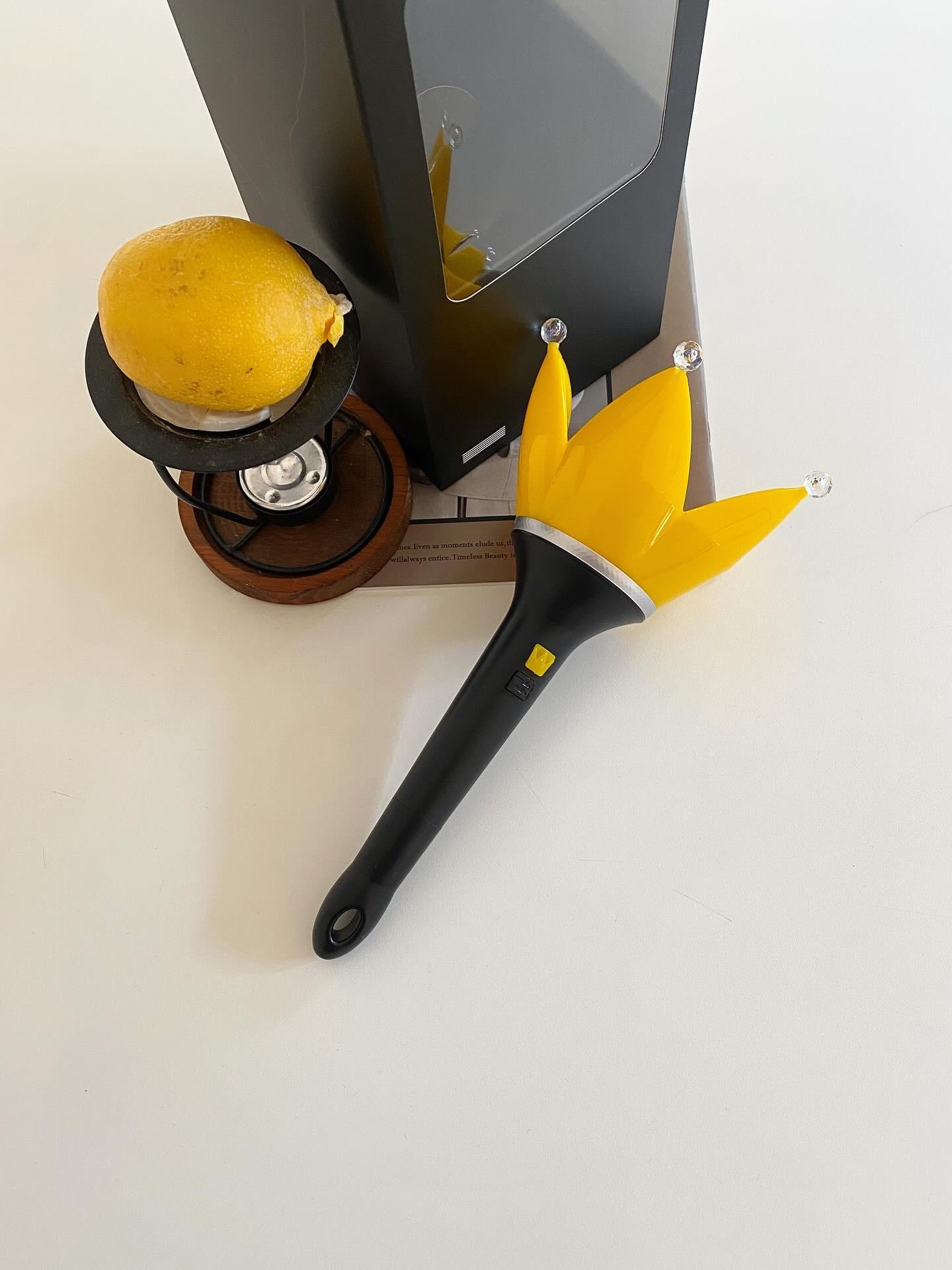 [当日発送] BIGBANG 公式応援棒 バージョン 4 ブラック 2025 / BIGBANG