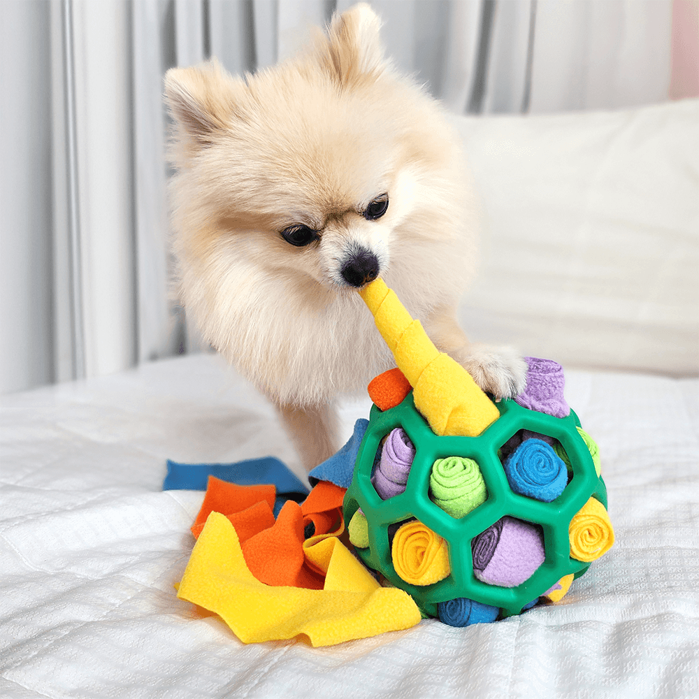 【Pawrfect】わんちゃん用ノーズワーク おもちゃ 静音ボール トーイ 遊び・分離不安解消