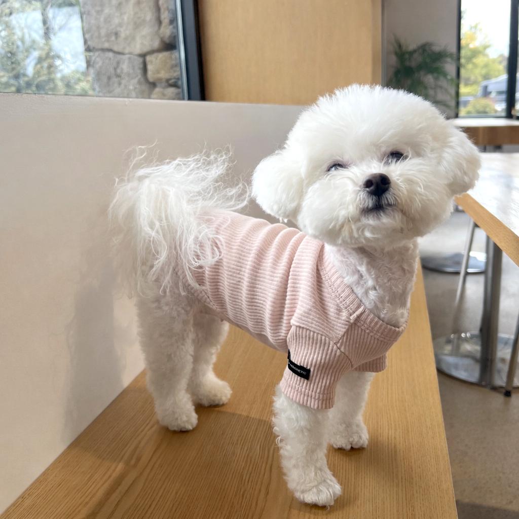 マグドッグ(MAGDOG) 犬服 デイリーTシャツ