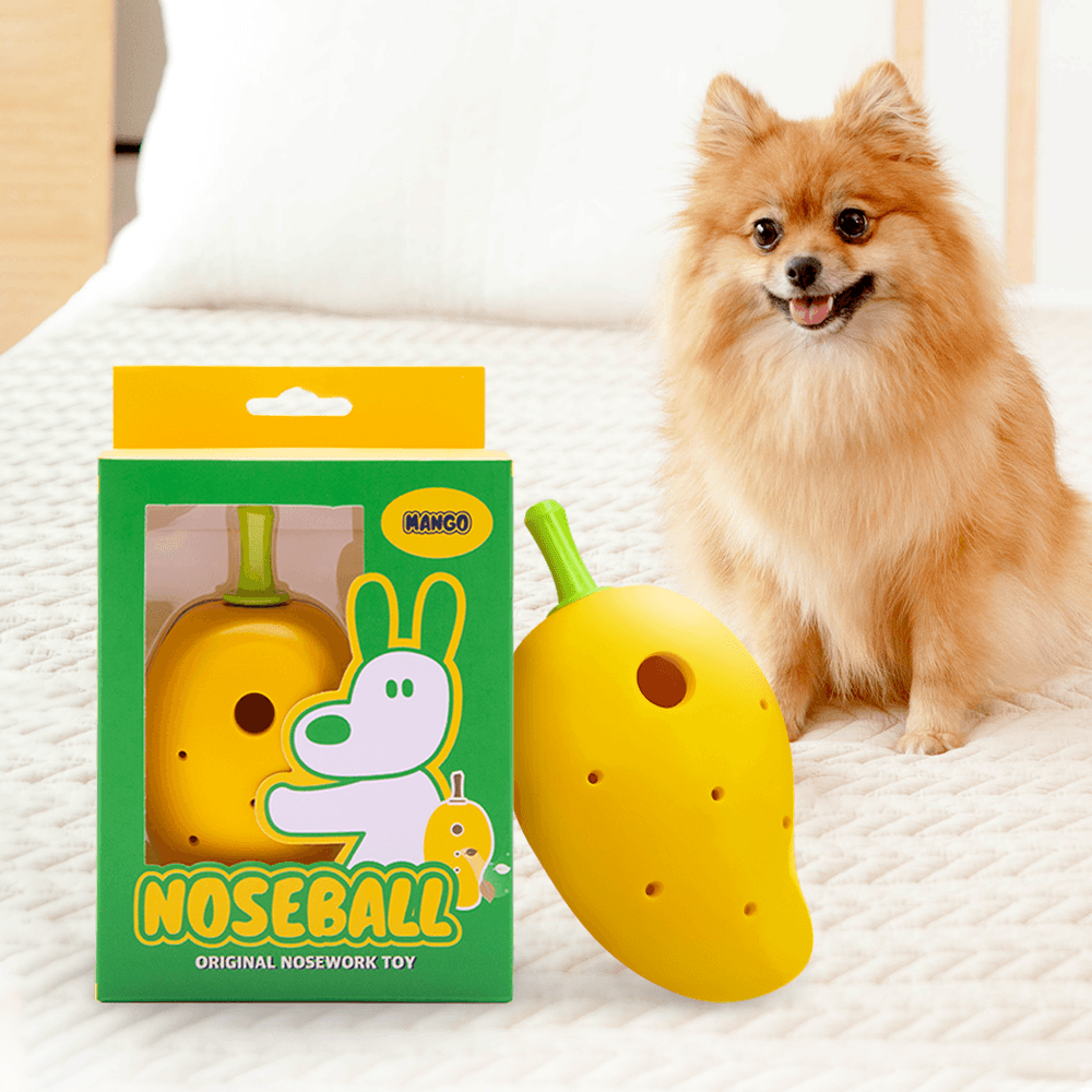 【Pawrfect】わんちゃん用ノーズワーク おもちゃ アロマ 分離不安 訓練 ノーズボール マンゴー