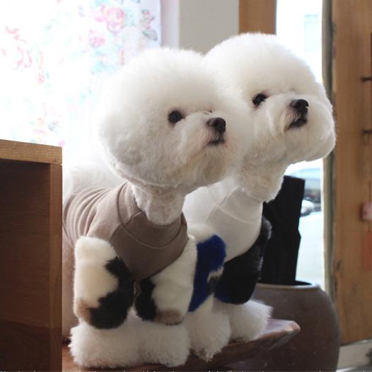 マグドッグ(MAGDOG) 暖かい冬Tシャツ 犬服