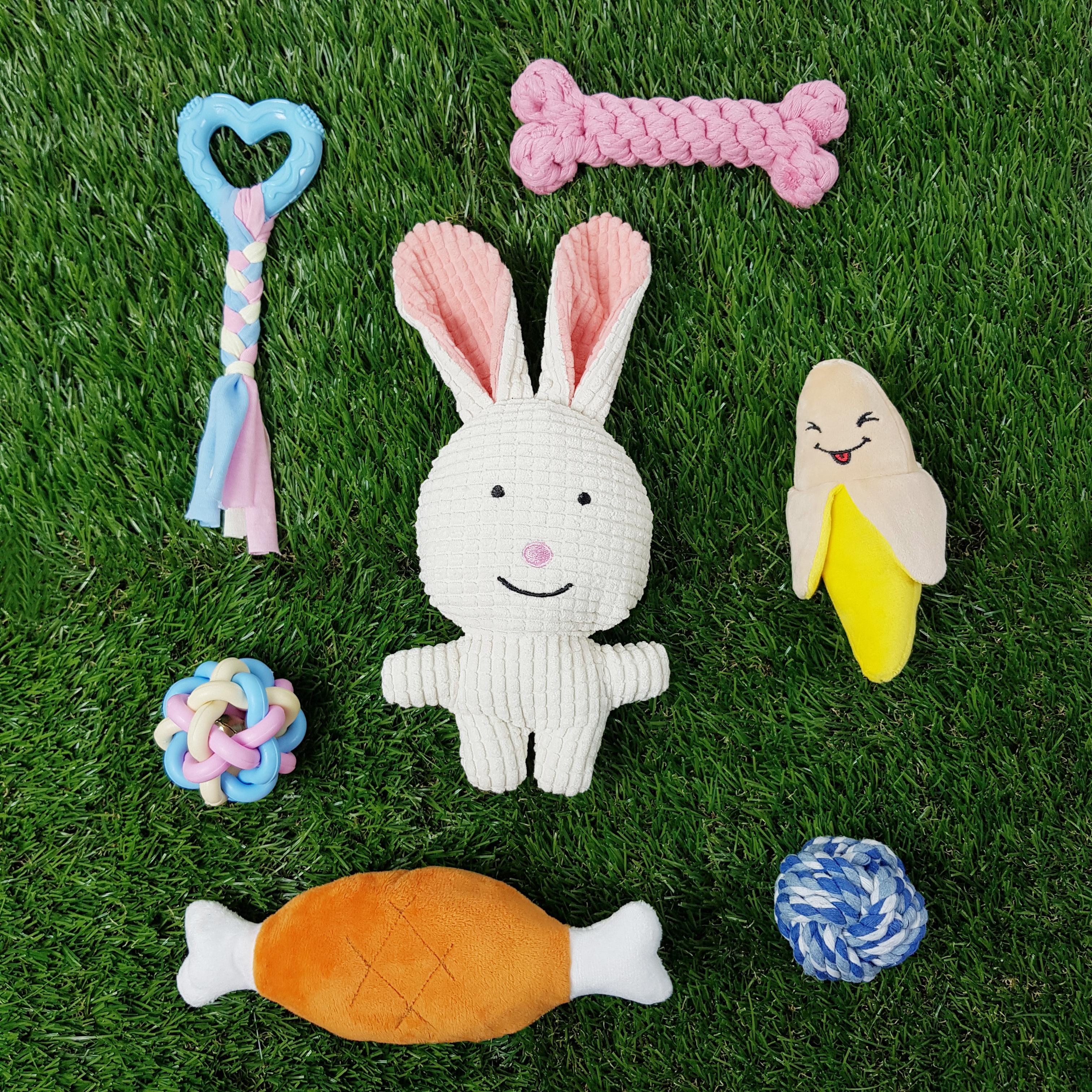 わんちゃん用おもちゃ トーイ 歯固め 鳴るおもちゃ セット