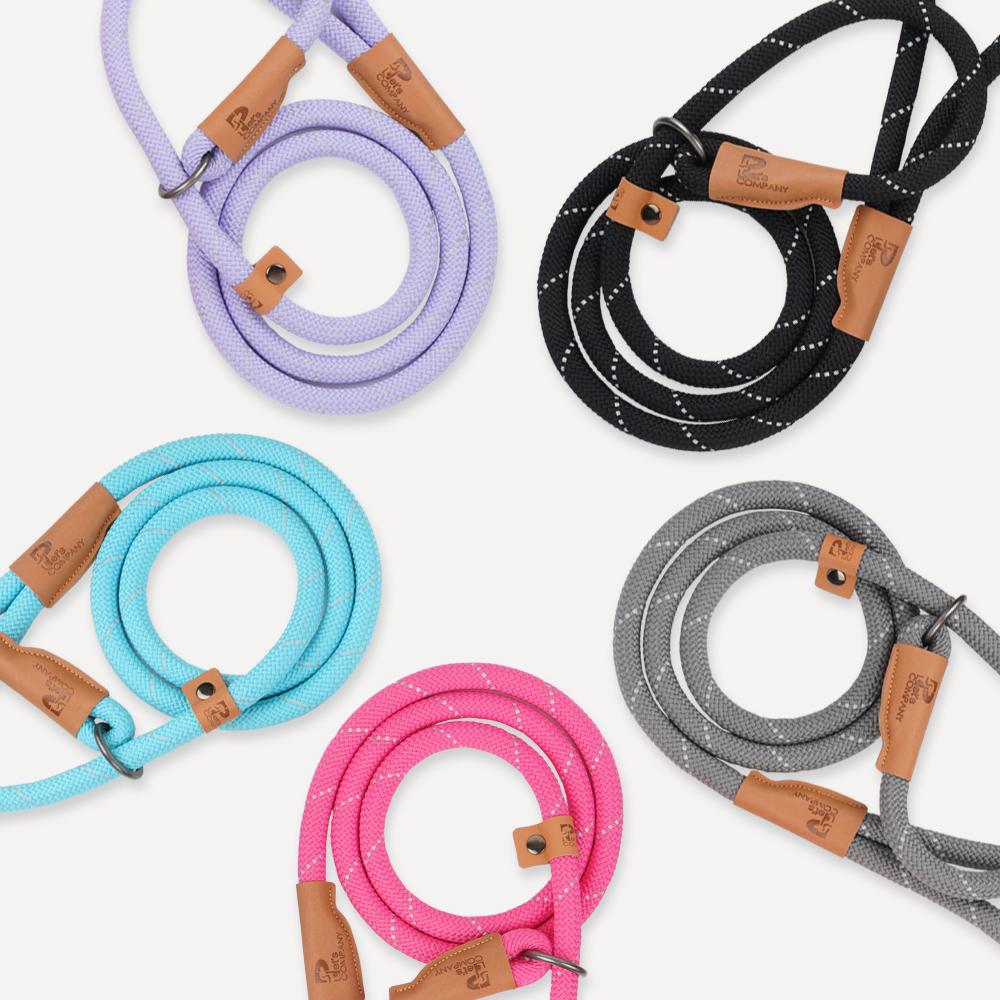 カンブガゲ 犬用リード 小型犬 中型犬 大型犬 愛犬 一体型スリップリード リード 줄 XS 160cm