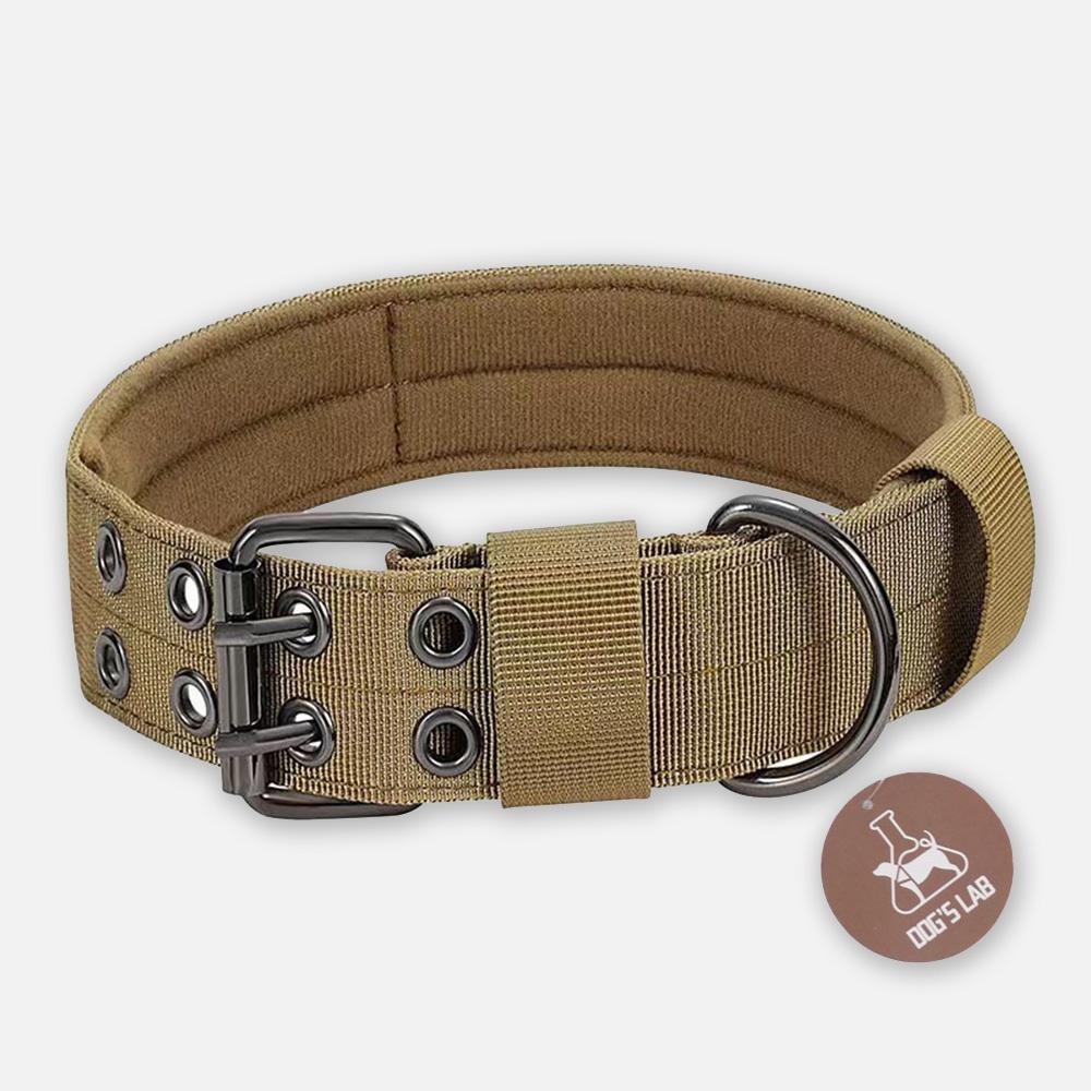 ドクスラボ 犬用リード 中型犬 大型犬 リード ジン ドク レトリバー M