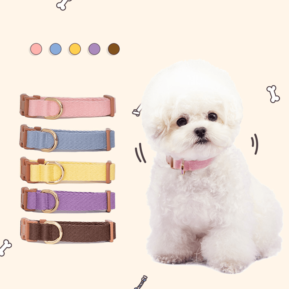 ボデルラン 超軽量 綿 犬用/猫用リード 愛犬 子犬 ベビー 小型犬 中型犬 S