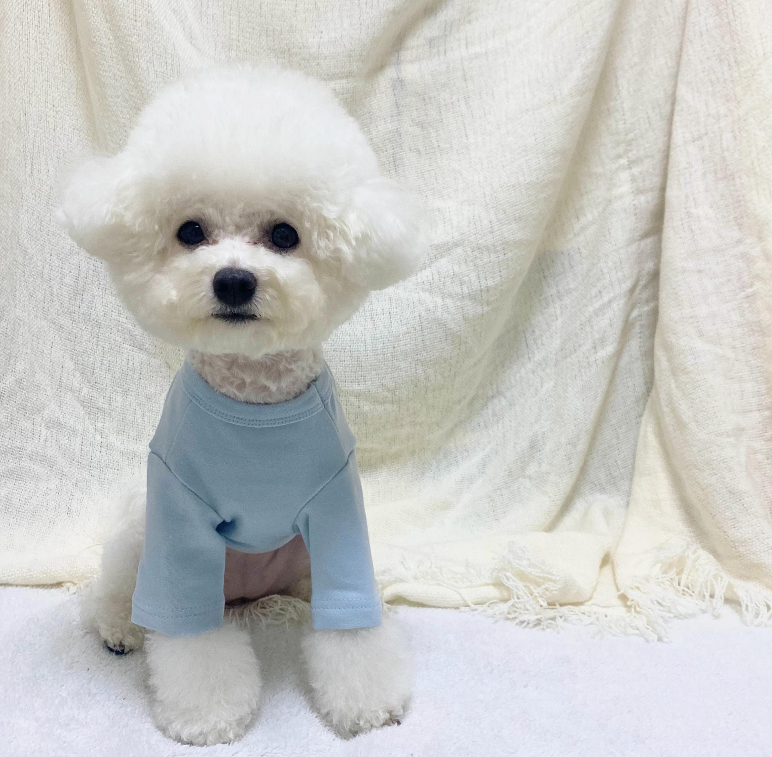 スタイル독(STYLEDOG) デイリーTシャツ 犬服