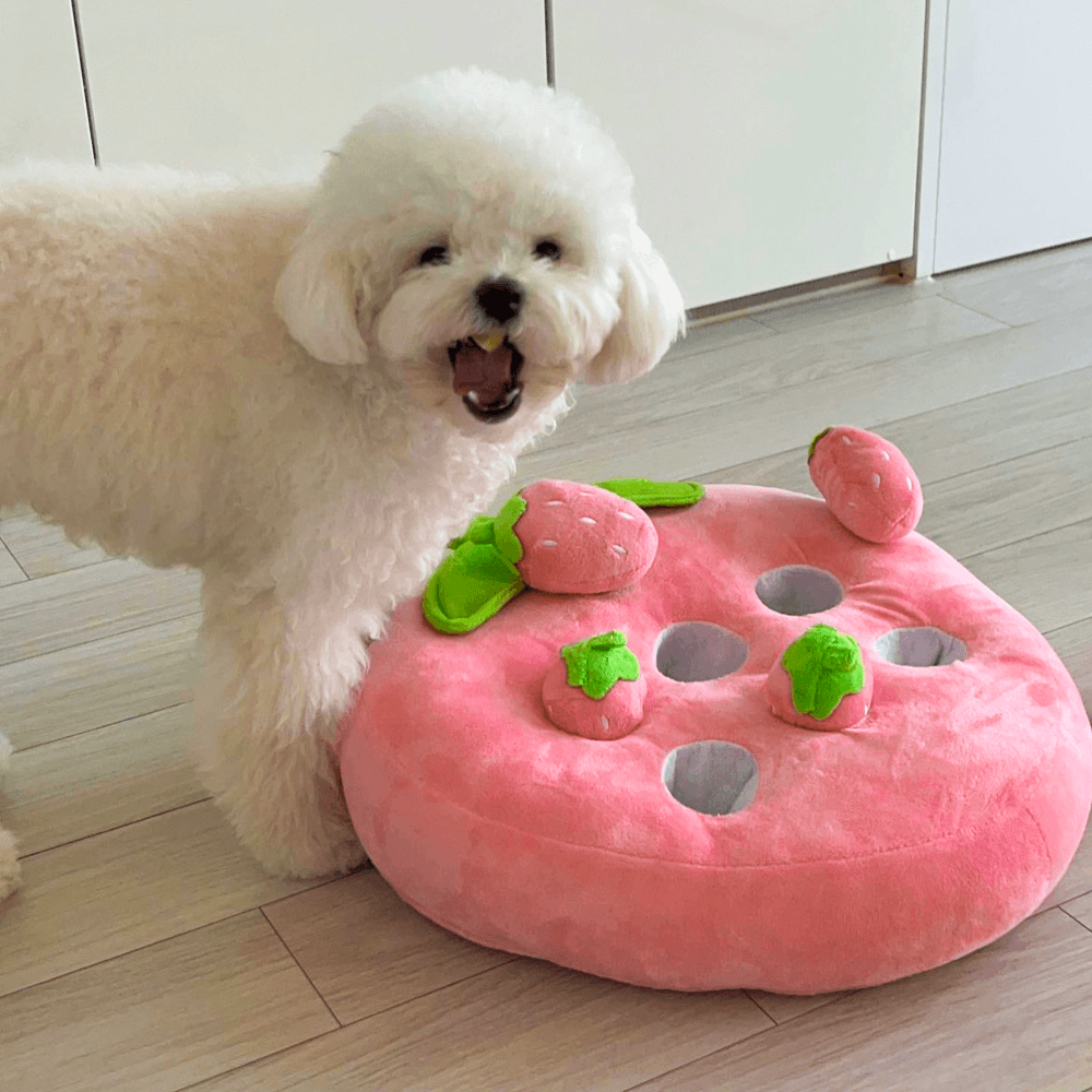 Witty わんちゃん用ノーズワーク わんちゃん用おもちゃ いちご