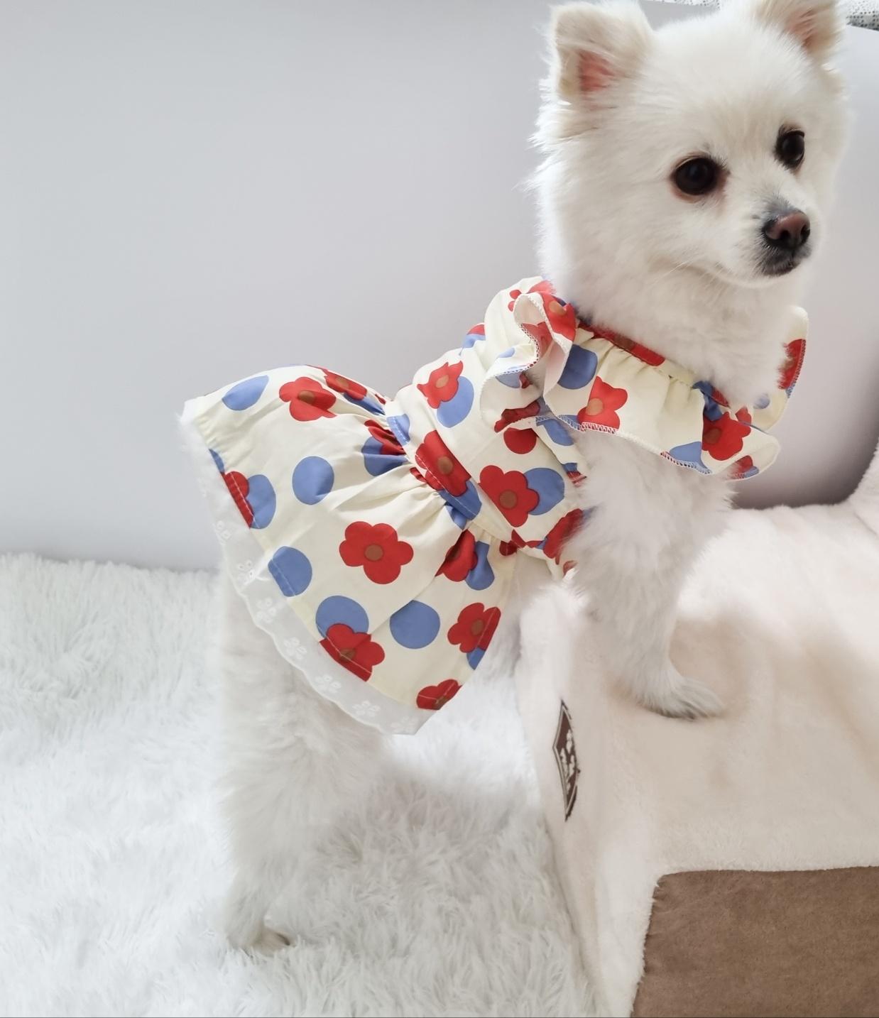 椿の花 犬服 コンパニオンアニマル 春 ワンピース デイリー 室内服 四季