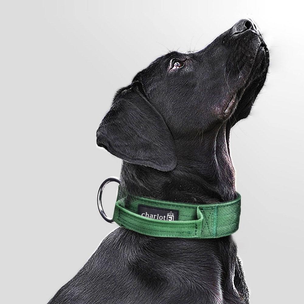 大型犬用リード 犬用リード チン ドク レトリバー シャルロットジェイ M