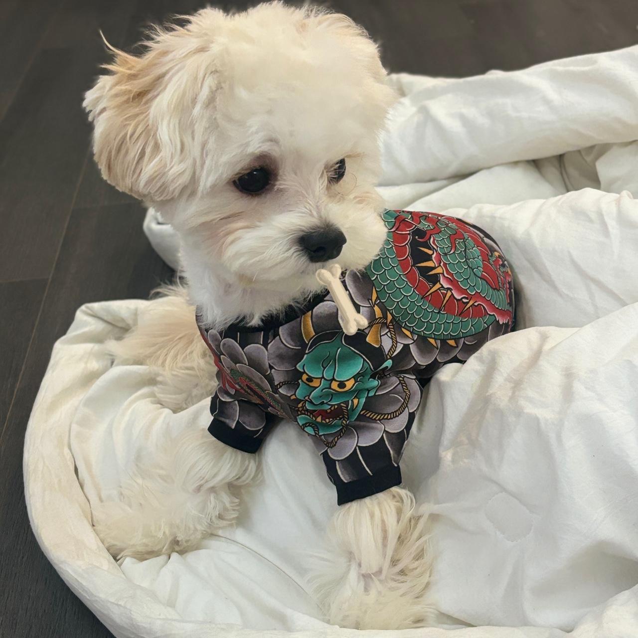 【금목걸이 이벤트】 강아지 문신 옷 이레즈미 올인원 강아지 이레즈미 멍레즈미 문신 올인원 타투 옷