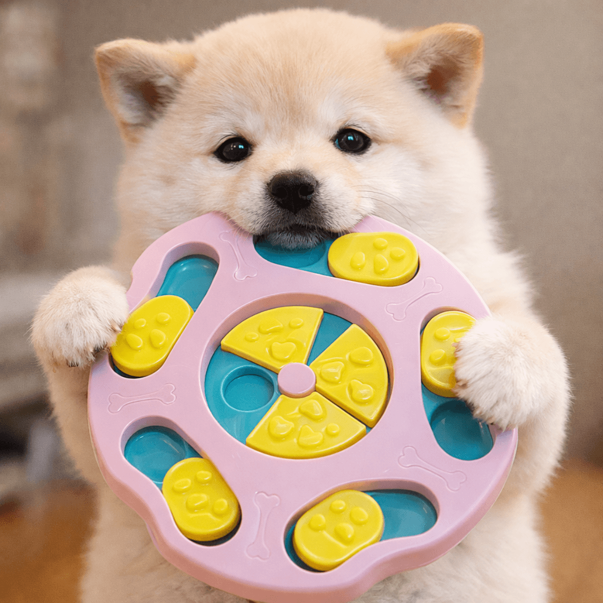 강아지 노즈워크 발자국퍼즐 분리불안 해소 장난감