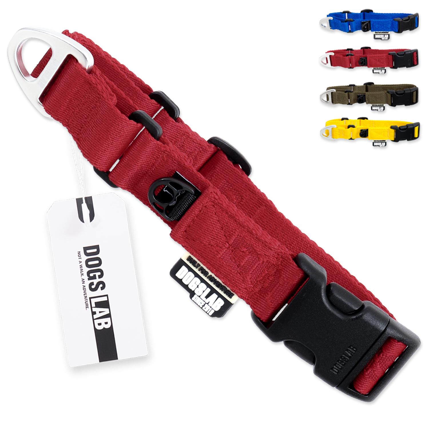 DOGS LAB マルティンゲール 首輪 犬用 半チョーク チェーン 中型犬 大型犬 訓練用 S