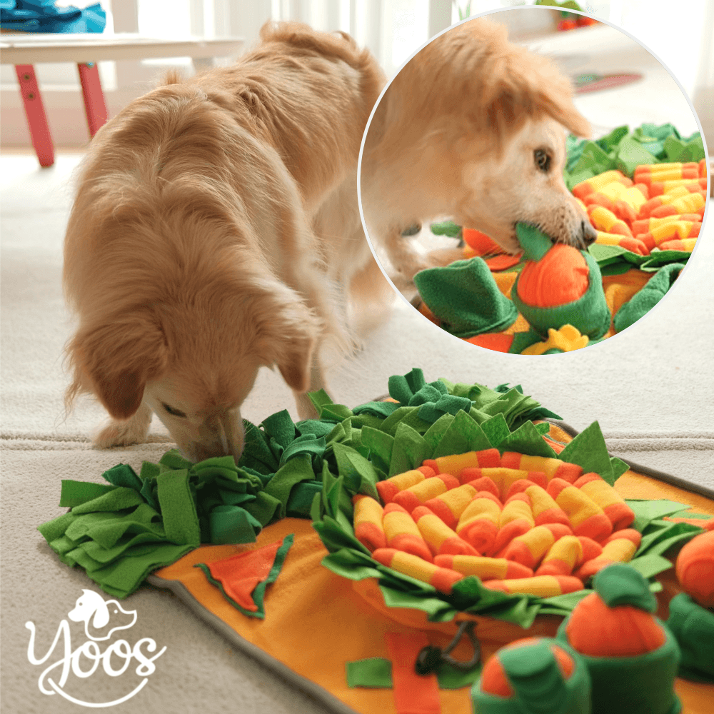 ユースペット(YOUTH PET) 犬用ノーズワークトイ にんじん畑マット ブランケット 分離不安 訓練