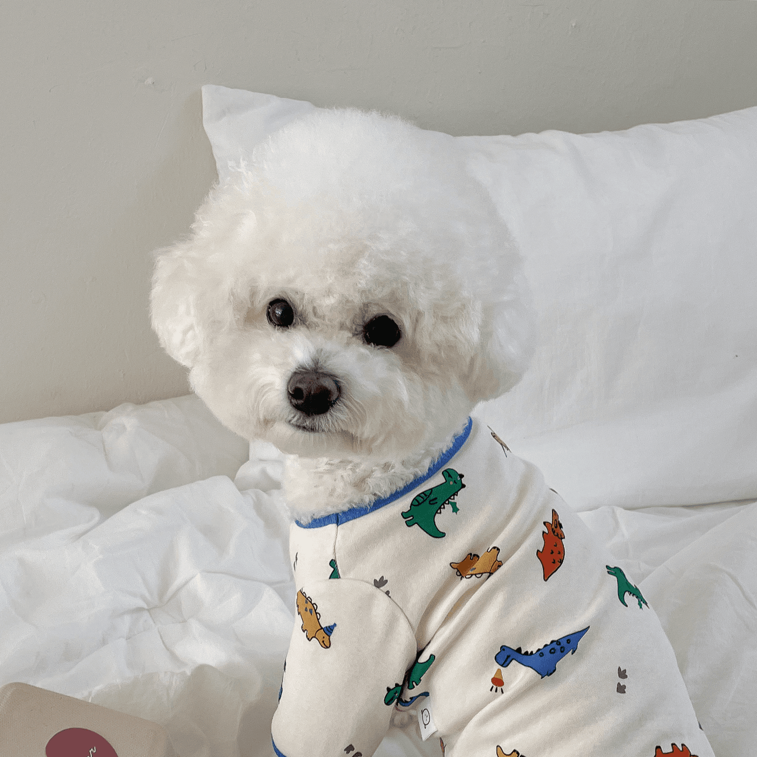 犬用パジャマ 犬服 四季 ヨンヨンイ Tシャツ 室内着