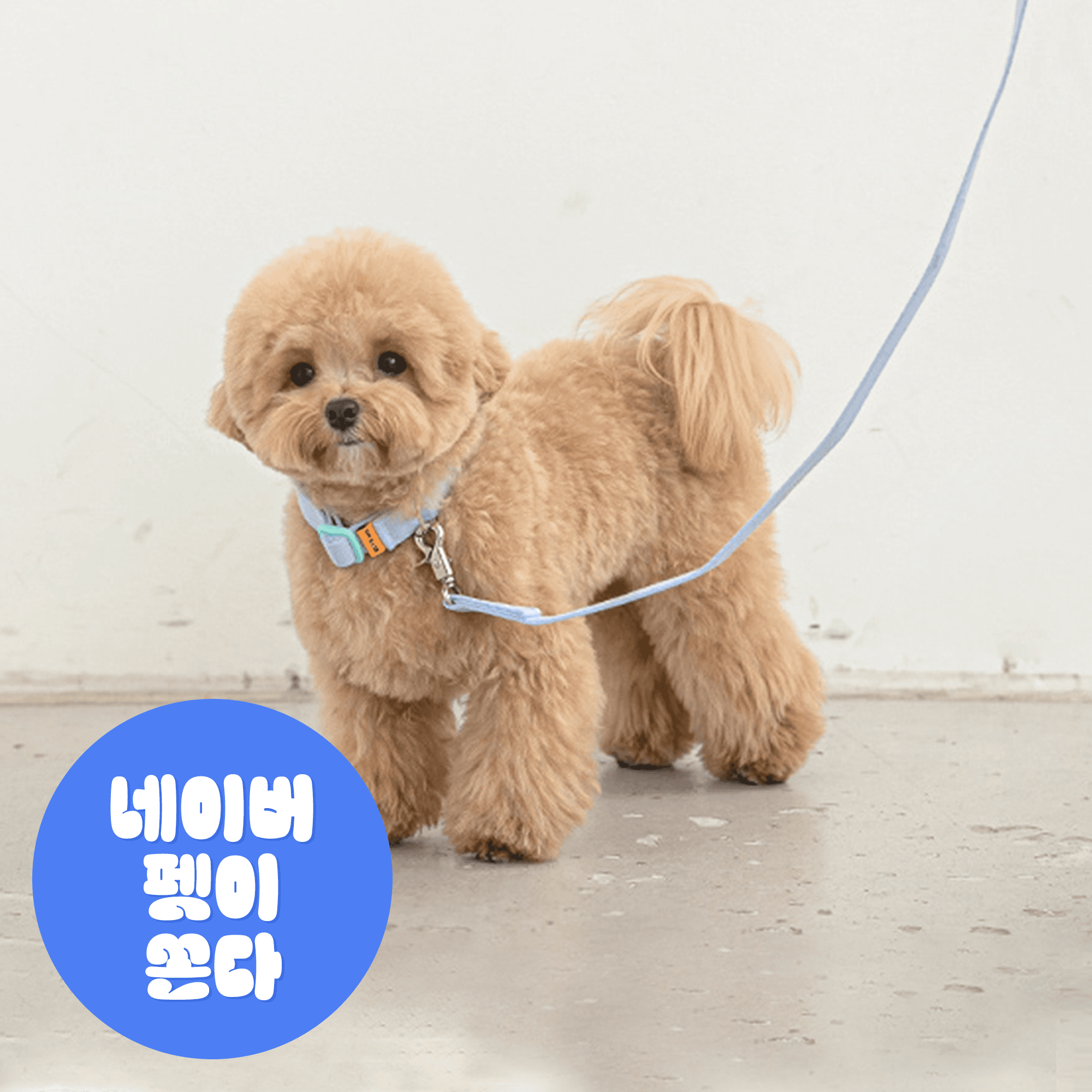 バイトミー 犬用リードセット 愛犬 リード