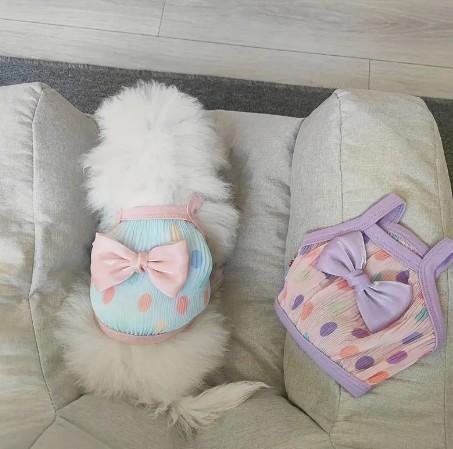 ニューデイズ ワンワンリボンT 犬服