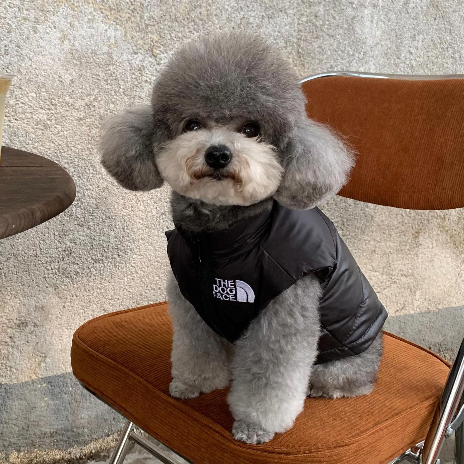 ザ・ドッグフェイス 犬用ダウンベスト オオトリマカナシ 犬用冬服 개신사