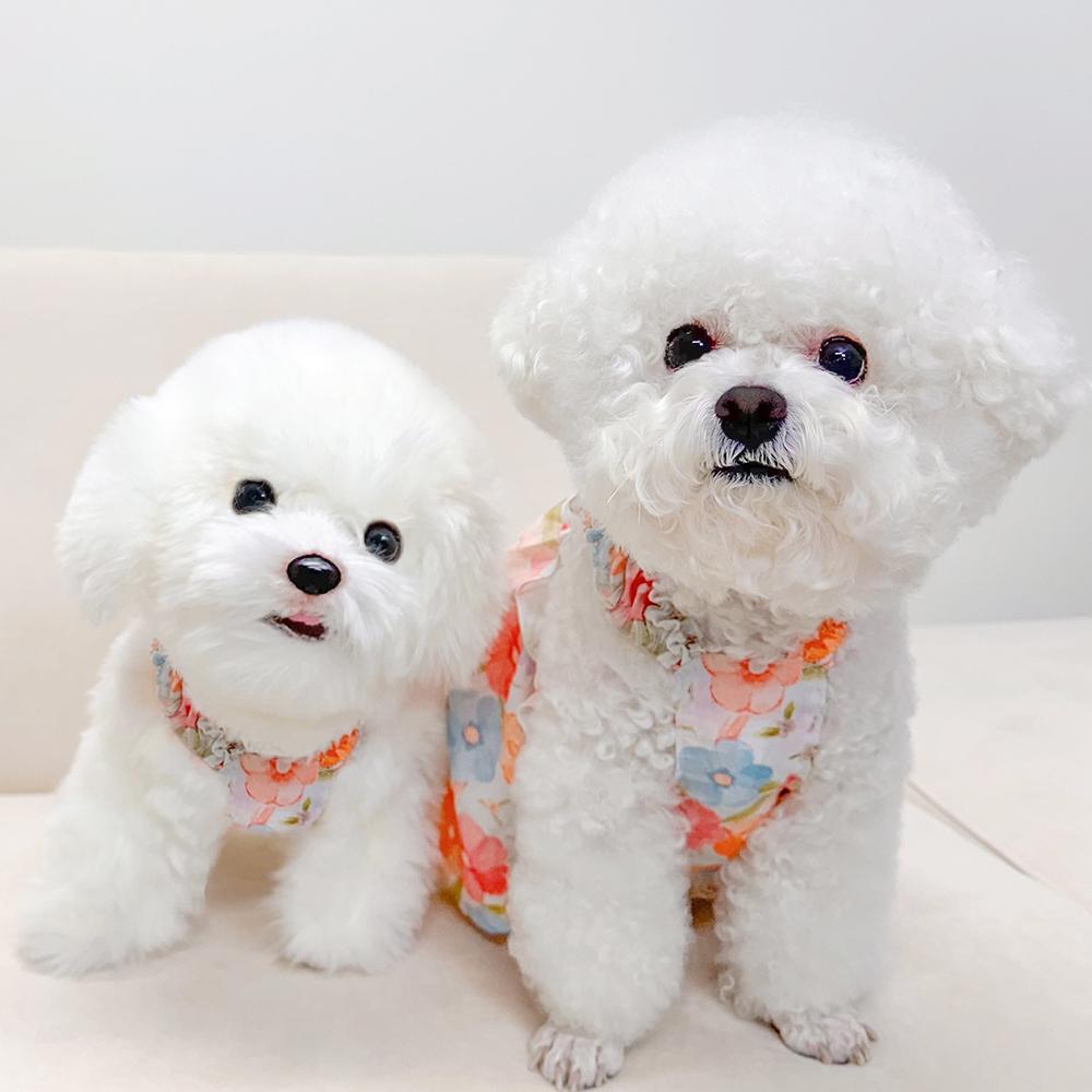 オレンジワン 犬服 春 夏 鳳仙花 タンクトップ ONE XS