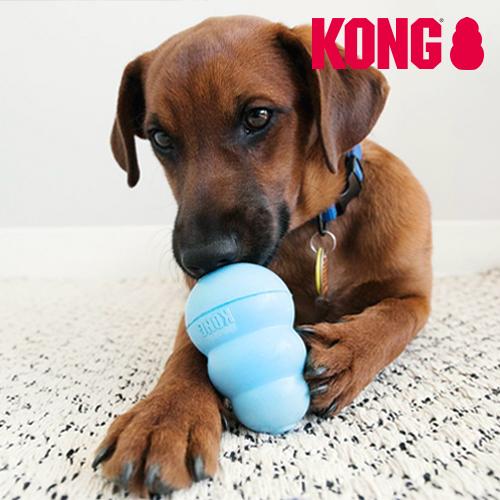 KONG 퍼피 아기 강아지 고양이 간식 먹이 분리불안 장난감 콩토이 미니