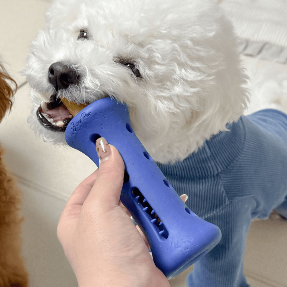 1時間ノーズワークトイ 長持ちデンタルチュー ブースター S, 1個