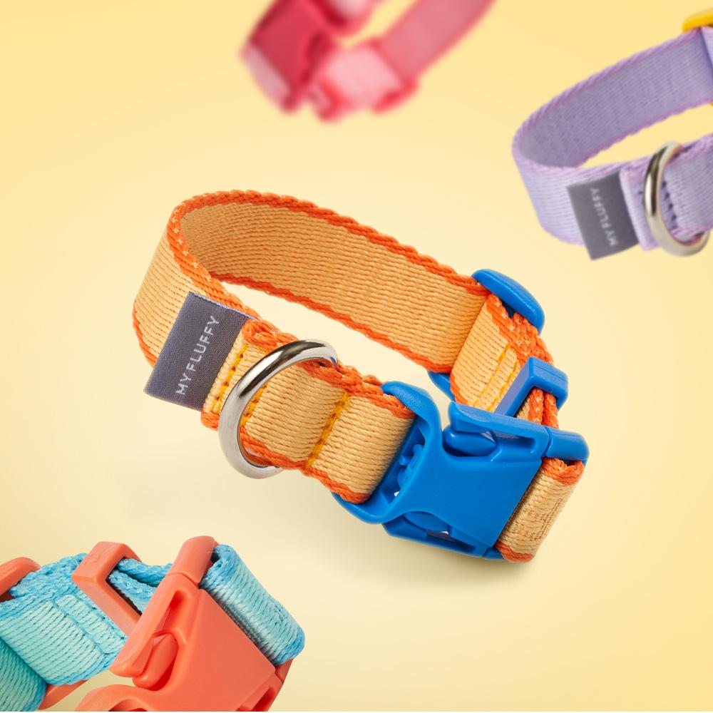 マイファフィ 犬用リード フィットカラー