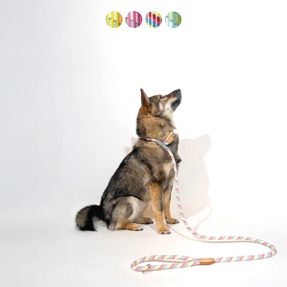 리또리 犬用リード 小型犬 中型犬 大型犬 一体型 ロープ パーティーミックス