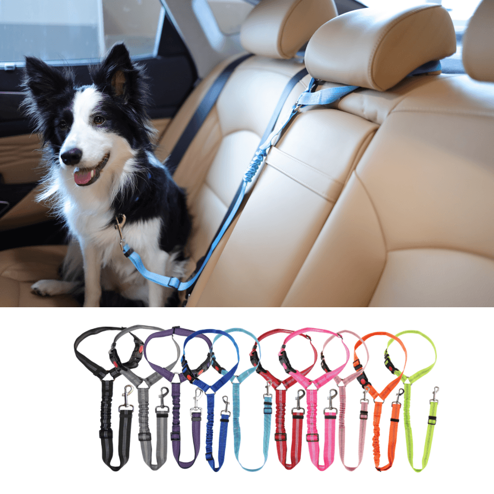 ペット用 犬用シートベルト