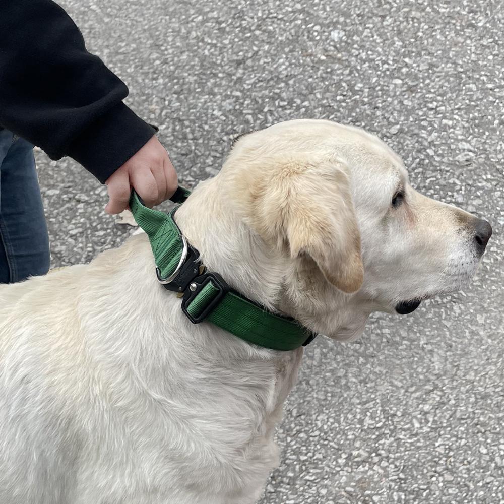 大型犬 中型犬 ジン ドッグ レトリバー 子犬 大型犬用リード 単品購入 リード M グリーン