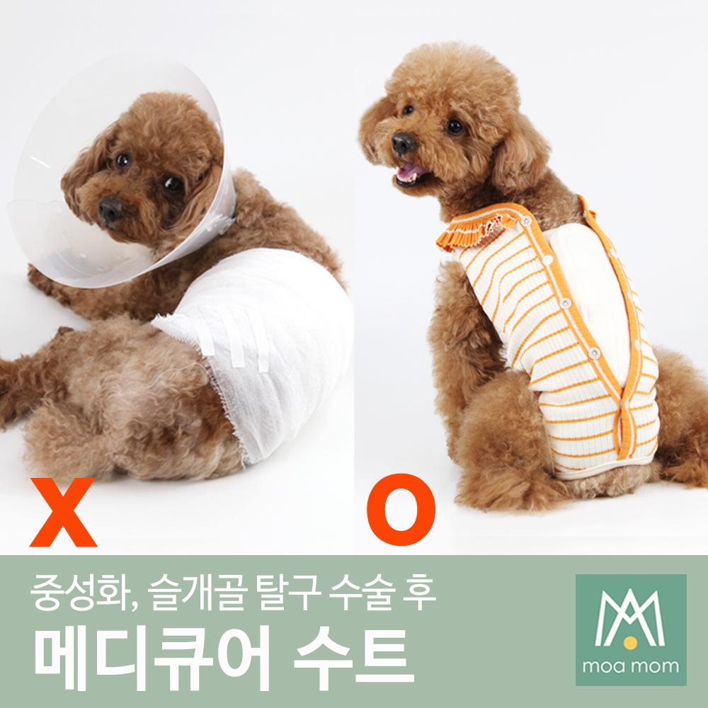 メディキュアスーツ ネックカラー不要 犬 回復服 避妊手術服 介護服 手術服 避妊手術 膝蓋骨手術