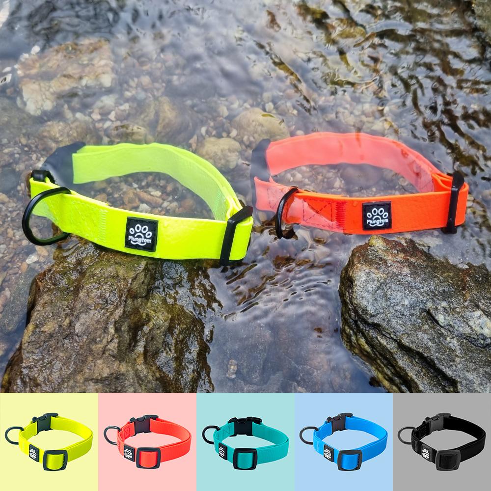 犬用首輪 防水 小型犬 XS