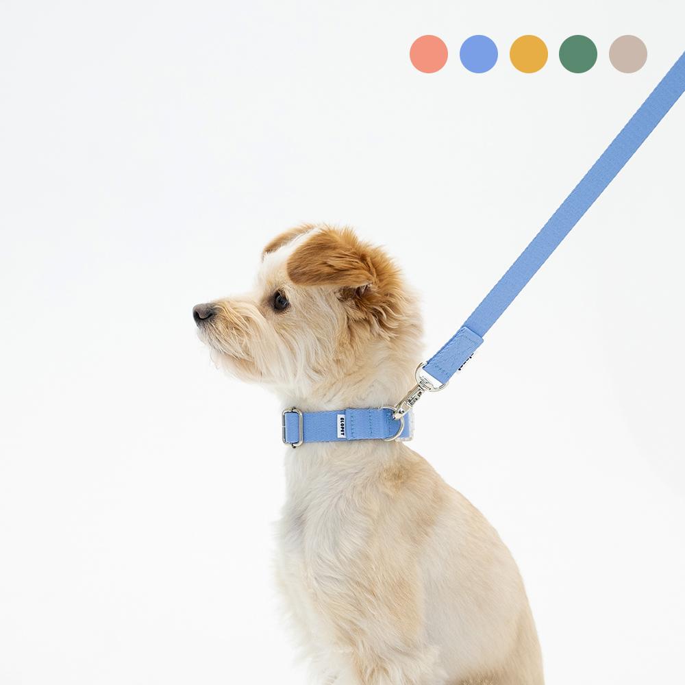 Glopet 子犬用リード 低刺激 パステル XS