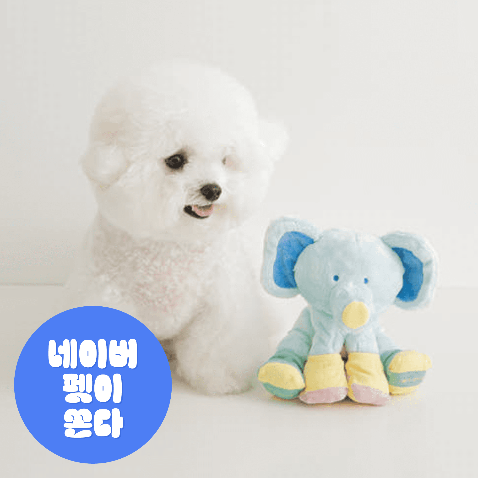 Bite Me (バイトミー) 犬用 ノーズワークトイ 犬 分離不安