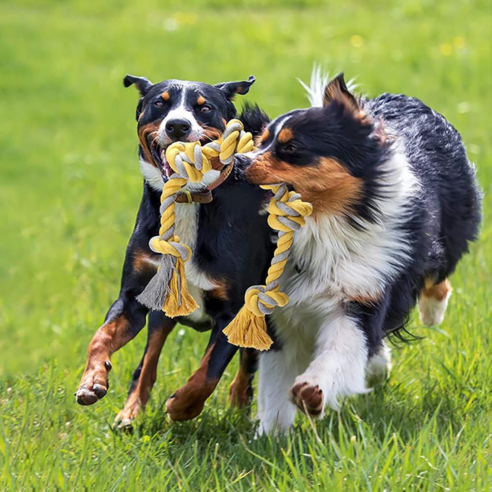 大型犬用おもちゃ 犬用 タフトイ 歯固め 丈夫