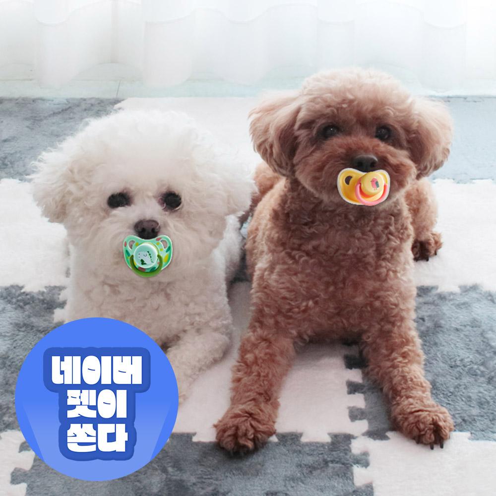딩동펫 (Dingdongpet) 犬用 ベビー チュチュ 歯固め