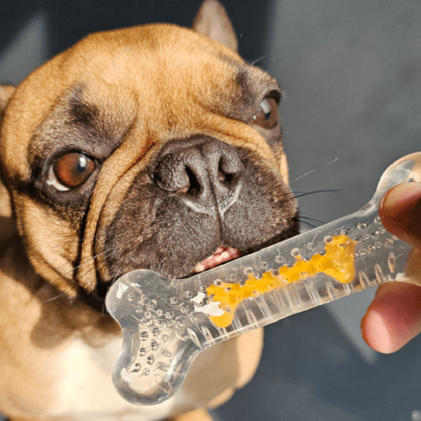 犬用 歯固めトイ ウッドスティック タフトイ コーヒーチュー 代替 チキンS 入仏チュー