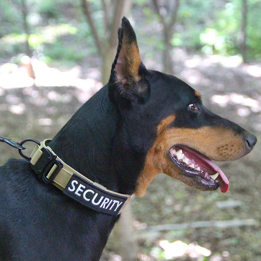 Wild Dog メタルカラー 子犬用リード 中型犬 大型犬 タンブラウン M