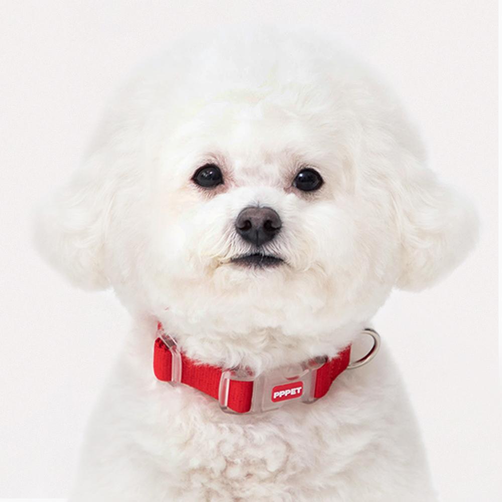 ペットペットペット 犬用リード 小型犬 ペット用 ドッグ S