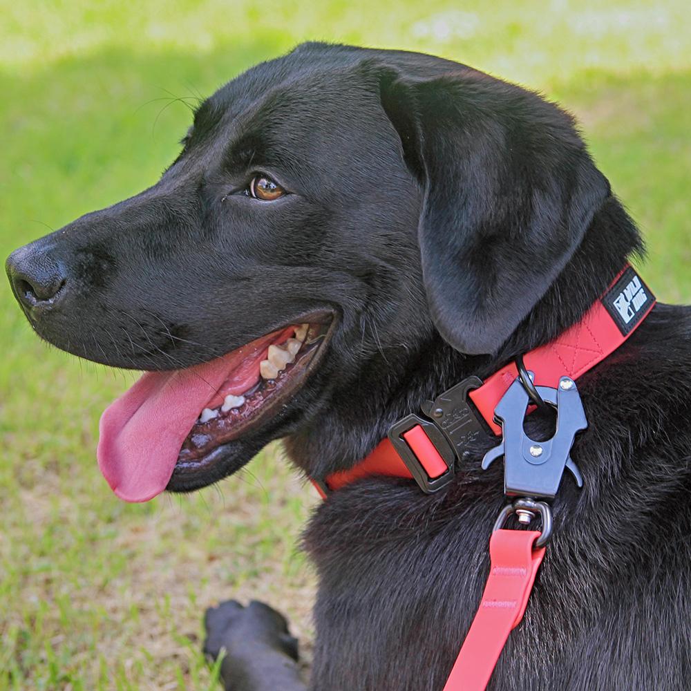 ワイルドロック ウォータープルーフメタルカラー 犬用防水リード 中型犬 大型犬 レッド M