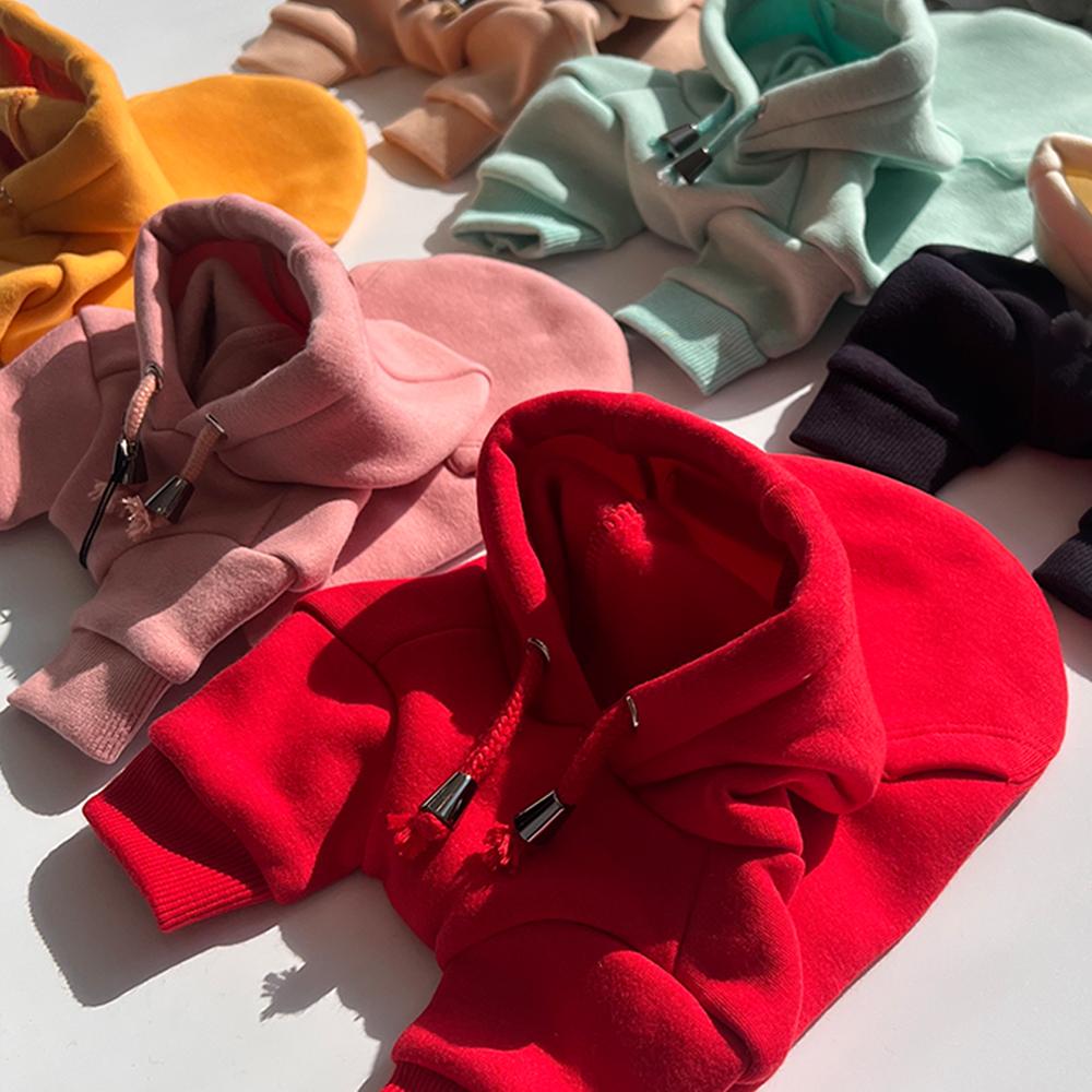 犬服 フードTシャツ 裏起毛 無地 スパン フード