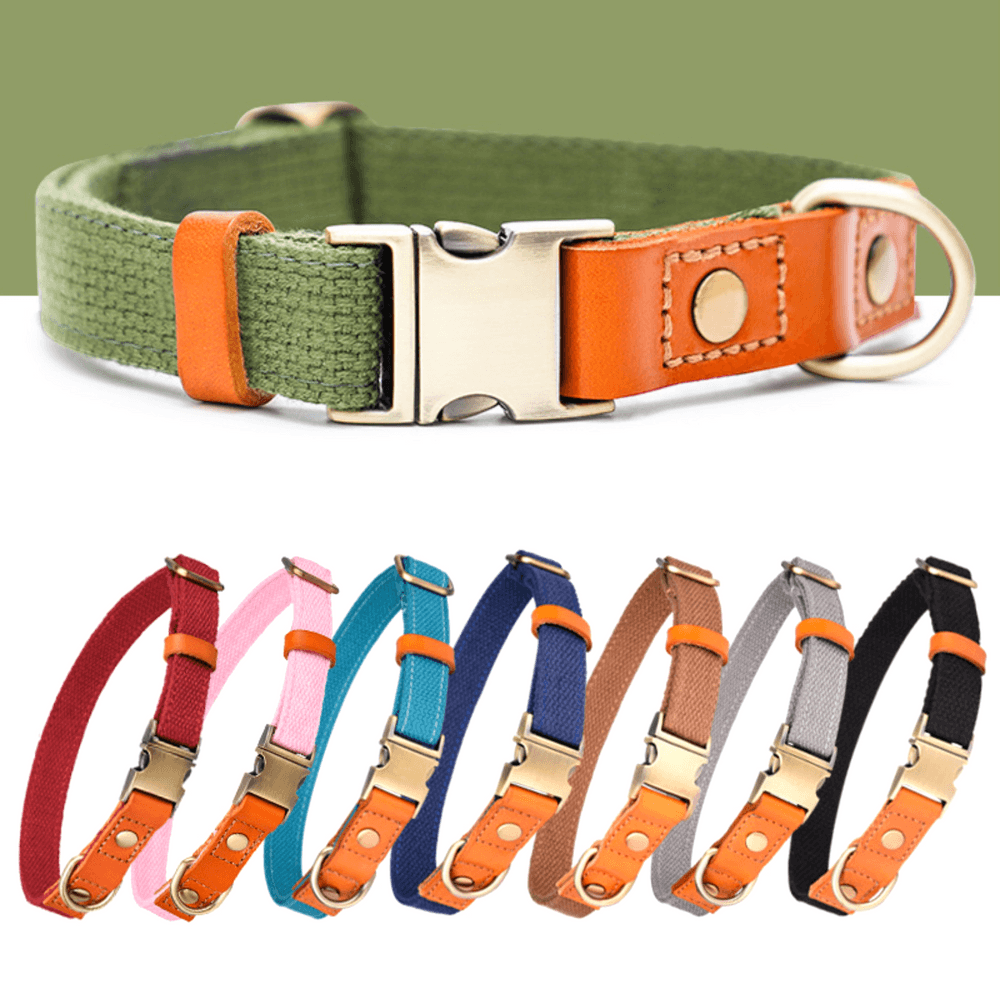 퍼플펫 (PURPLEPET) 犬用リード 小型犬 中型犬 大型犬 散歩用 トレーニング用リード S