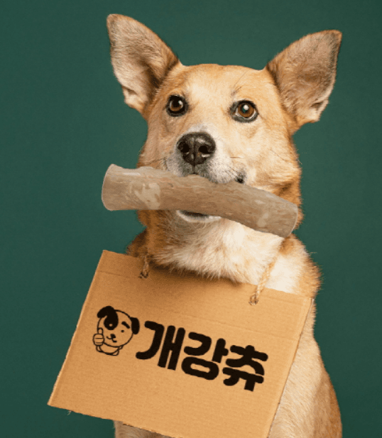 犬用ウッドスティック 100% コーヒーの木 XS ケガンチュ 歯固めおもちゃ