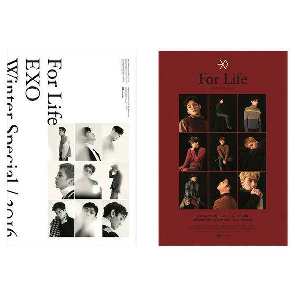 Poster EXO 2016 Winter Special For Life