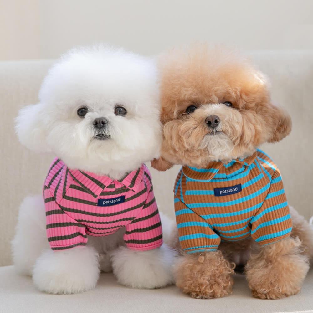 犬服 犬 室内服 春服 Tシャツ Dolce Highneck