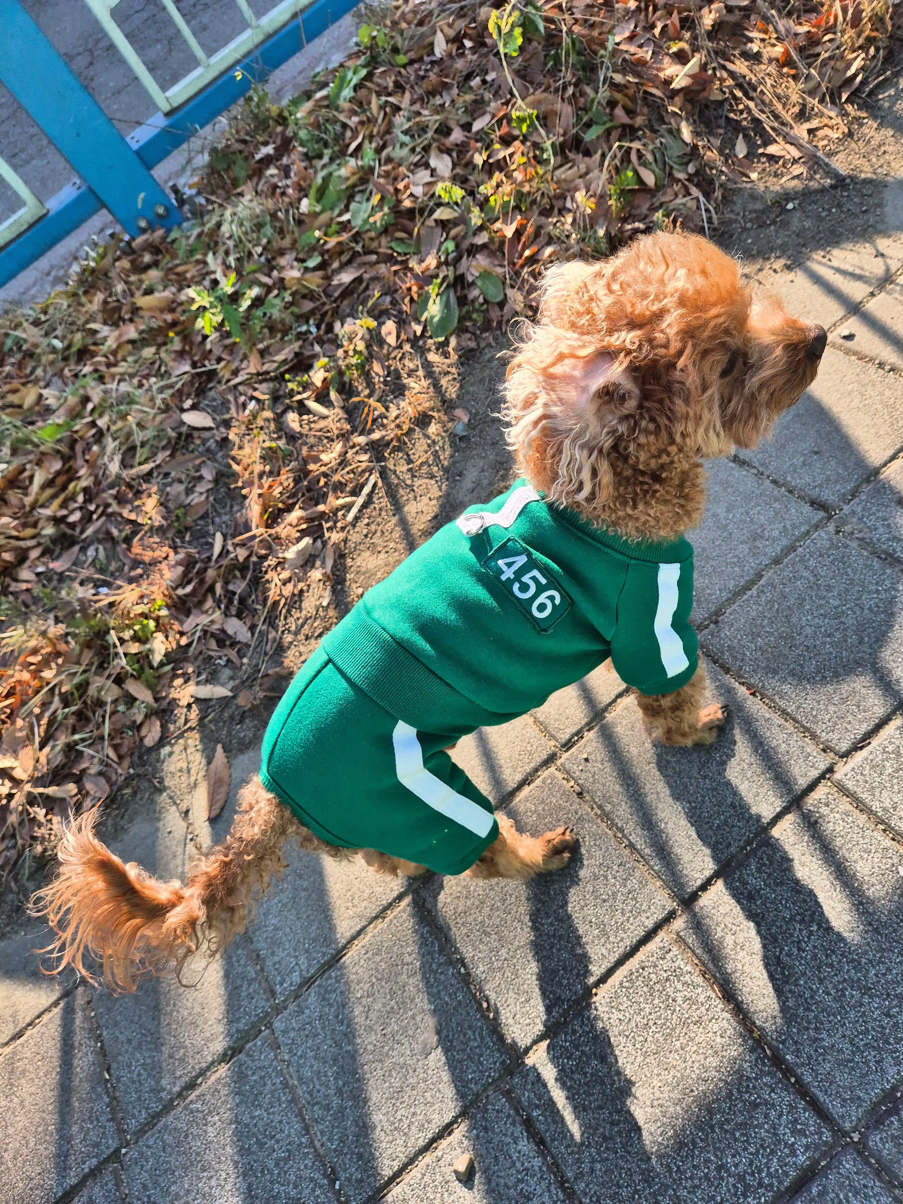 犬服 コスチューム 456 裏起毛オールインワンs