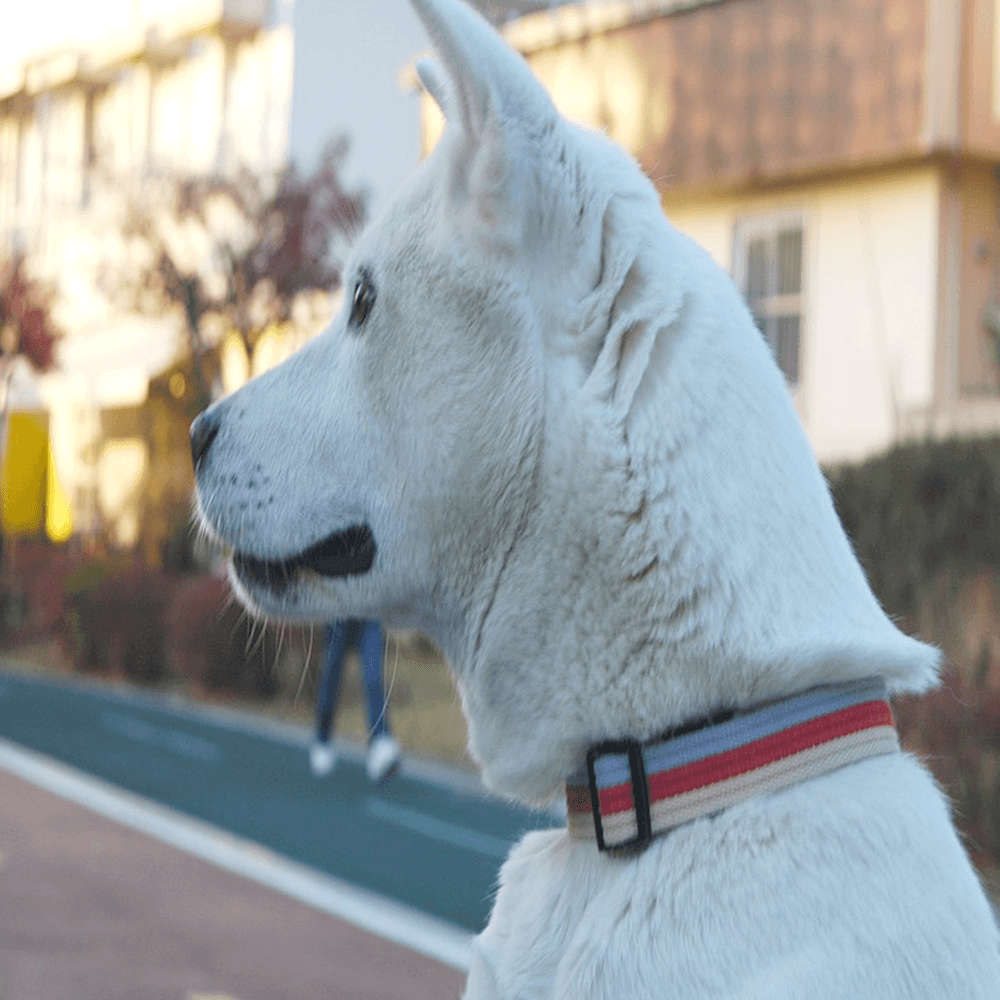 犬用リード 大型犬用リード ペット用 ドッグリード ペット S