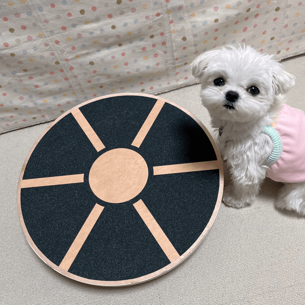 犬用ジムボール アジリティ 犬用運動器具 リハビリ バランスボール