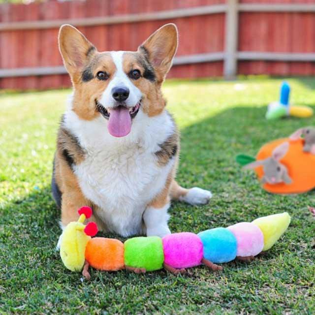 GIPPYPOWS 犬用おもちゃ ぬいぐるみ 犬用 반려견 (同伴犬) 鳴るおもちゃ タグラグ 大型犬 中型犬 小型犬