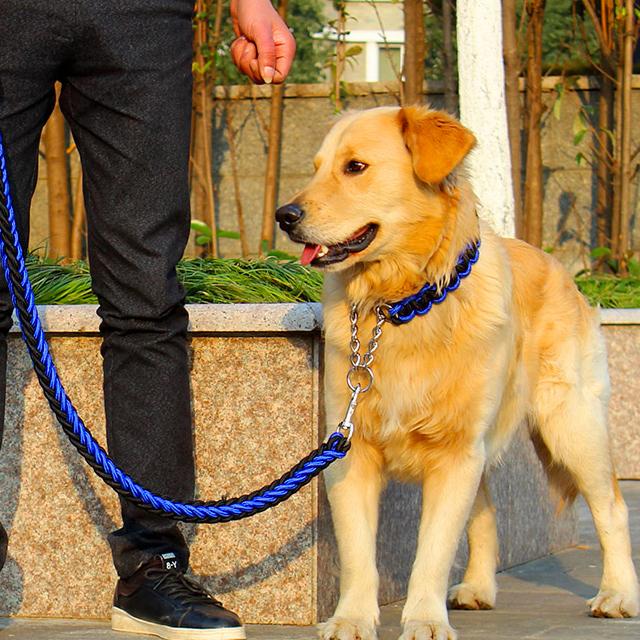 中型犬 大型犬用リード ツイストロープリードセット S